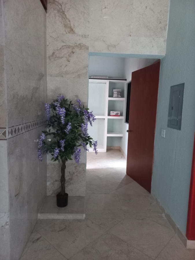 Departamento Tayde Leilighet San José del Cabo Eksteriør bilde